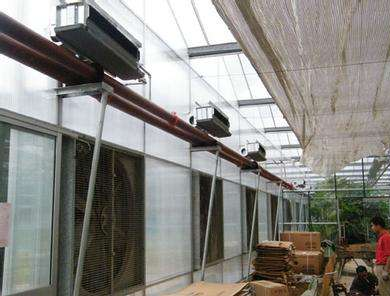 風(fēng)機(jī)盤管安裝現(xiàn)場(chǎng)圖