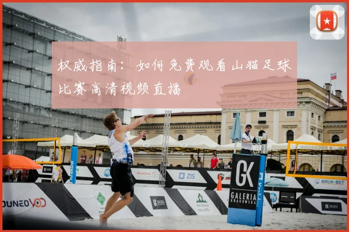 权威指南:如何免费观看山猫足球比赛高清视频直播